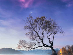 Scenary 1
